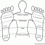 Tension nerveuse / Surmenage / Dépression nerveuse vu par la Réflexologie Plantaire 