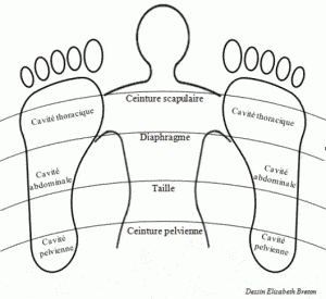 reflexologie_eb