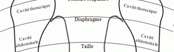 Tension nerveuse / Surmenage / Dépression nerveuse vu par la Réflexologie Plantaire