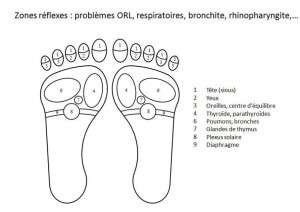 zones-reflexes-problemes-orl