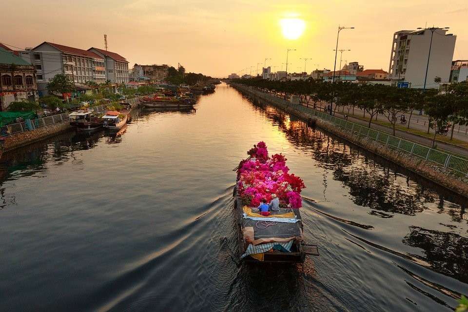 Fleur, Marché, Viêt-Nam, La Ville, Nouveau, Ho Chi Minh