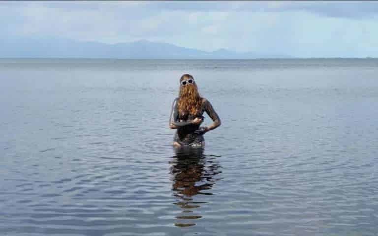 Phd dissertation picture