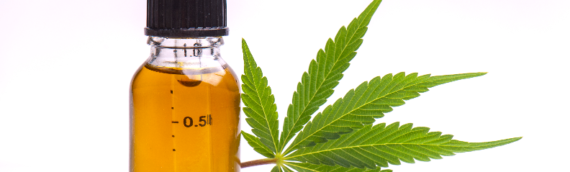 Quels sont les bienfaits de l’huile de cannabidiol bio ?