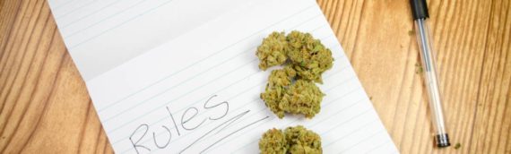 Sortez-vous de la dépendance : comment entamer un sevrage cannabique ?